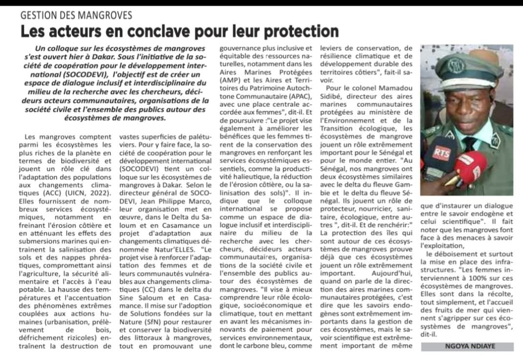Gestion des mangroves