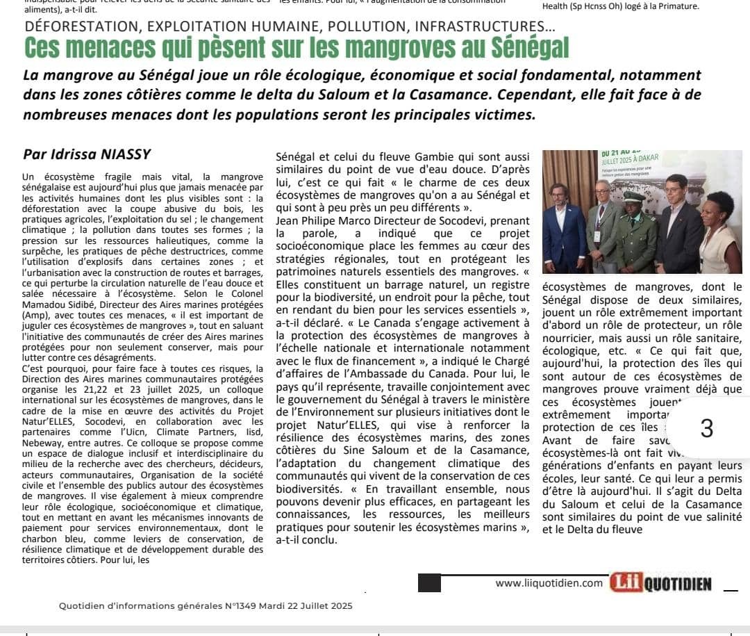 Liiquotidien